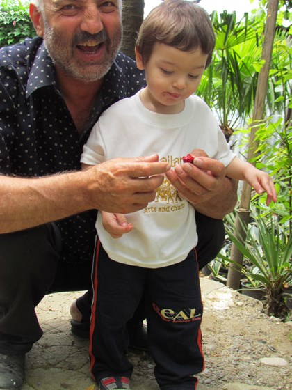 Портфолио: Декоративные растения