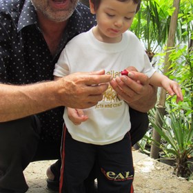 Портфолио: Декоративные растения